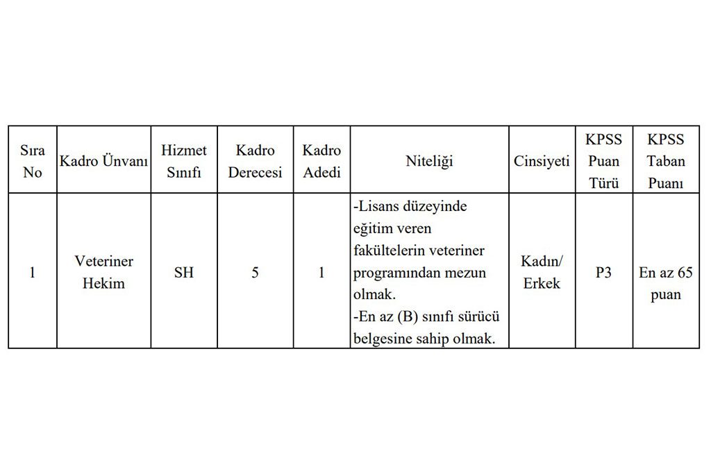 Datça Belediyesi 1 Memur Alımı Başvuru Şartları Açıklandı
