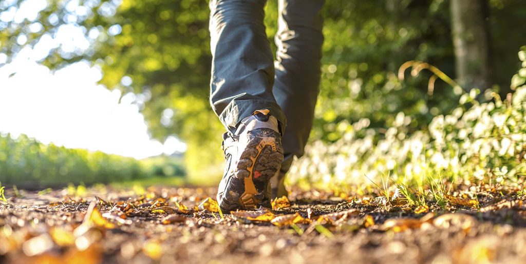 Günde 20 Dakika Ayırmak Şart