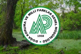 Doğa Koruma ve Milli Parklar Genel Müdürlüğü 20 Sözleşmeli Personel Alımı Yapıyor