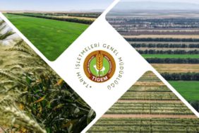 TİGEM 254 Personel Alımı Yapıyor