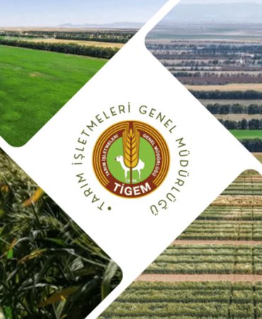 TİGEM 254 Personel Alımı Yapıyor