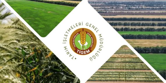 TİGEM 254 Personel Alımı Yapıyor