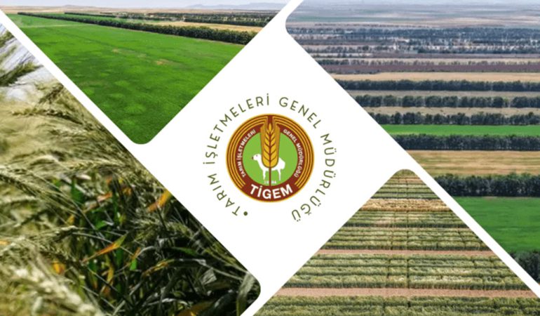 TİGEM 254 Personel Alımı Yapıyor