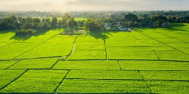 TOKİ 29 İlde 244 Arsa Satıyor - TOKİ'den Yüzde 25 Peşinat Ve 48 Ay Vade İle Arsa Satışı