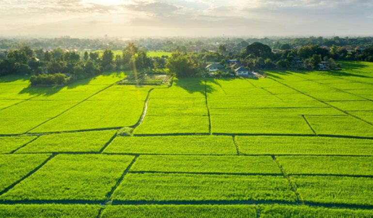 TOKİ 29 İlde 244 Arsa Satıyor - TOKİ'den Yüzde 25 Peşinat Ve 48 Ay Vade İle Arsa Satışı