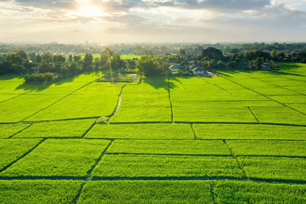 TOKİ 29 İlde 244 Arsa Satıyor - TOKİ'den Yüzde 25 Peşinat Ve 48 Ay Vade İle Arsa Satışı