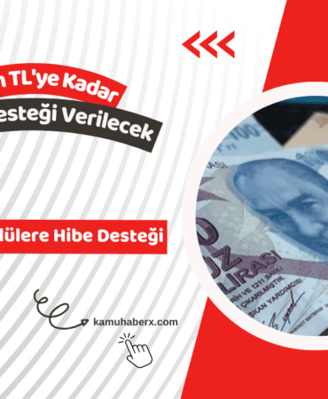 Engelli ve Eski Hükümlülere Hibe Desteği Başvuruları Başladı - 735 Bin TL'ye Kadar Hibe Desteği Verilecek