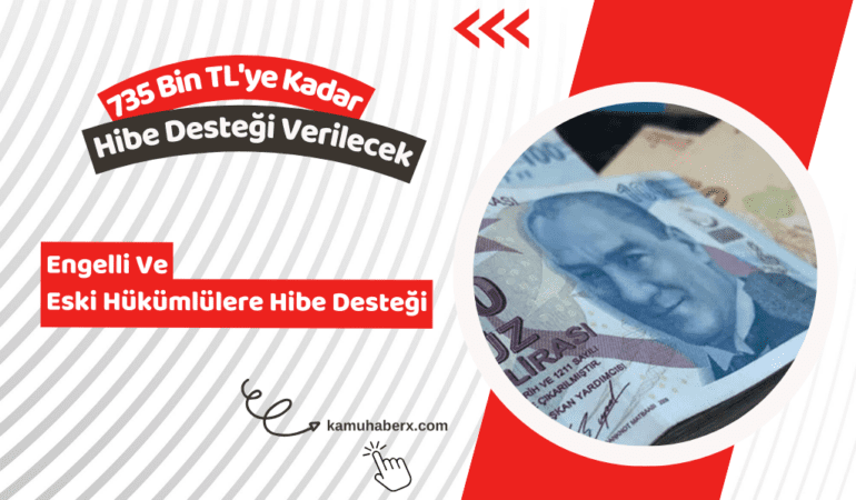 Engelli ve Eski Hükümlülere Hibe Desteği Başvuruları Başladı - 735 Bin TL'ye Kadar Hibe Desteği Verilecek